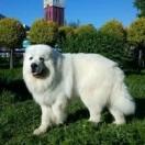 孑然弗倫的頭像