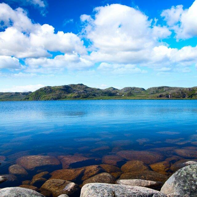 平平淡淡才是真的頭像