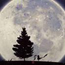 怦然心動的頭像