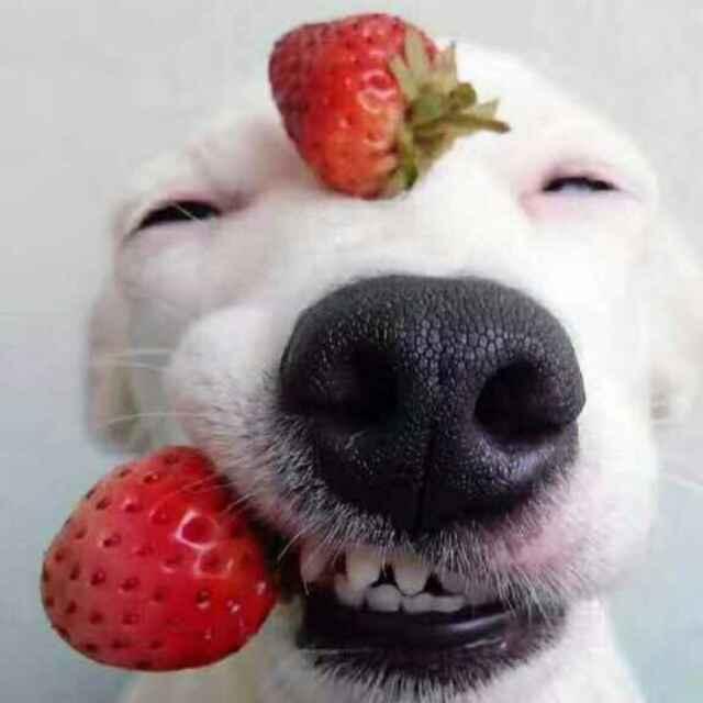 我想要贏的頭像