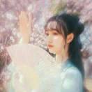 林落楚歌的頭像