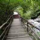 小惡魔嗯嗯嗯的頭像