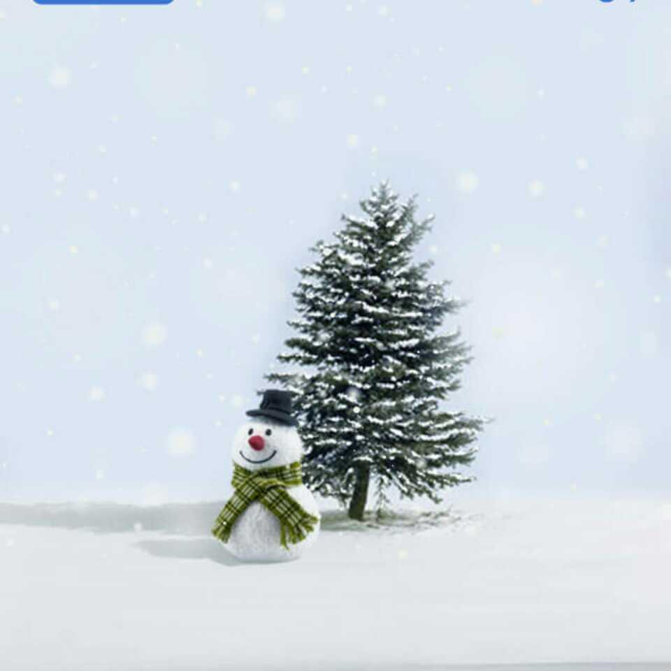 紅色paradise	wing	yip跑的頭像