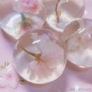 白晝來臨的頭像