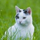 王建強(qiáng)15581113918的頭像