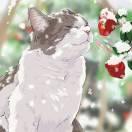 忘塵如羨的頭像