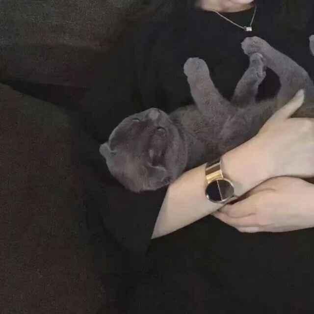 我的偉。的頭像