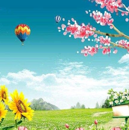 從頭再來的頭像