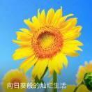 春暖花開的頭像