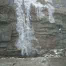 天下無仇人的頭像