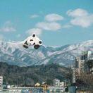 黑白的世界的頭像