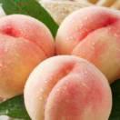 果然是你的頭像