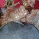 相信自己的頭像