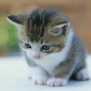 浮生若夢(mèng)的頭像