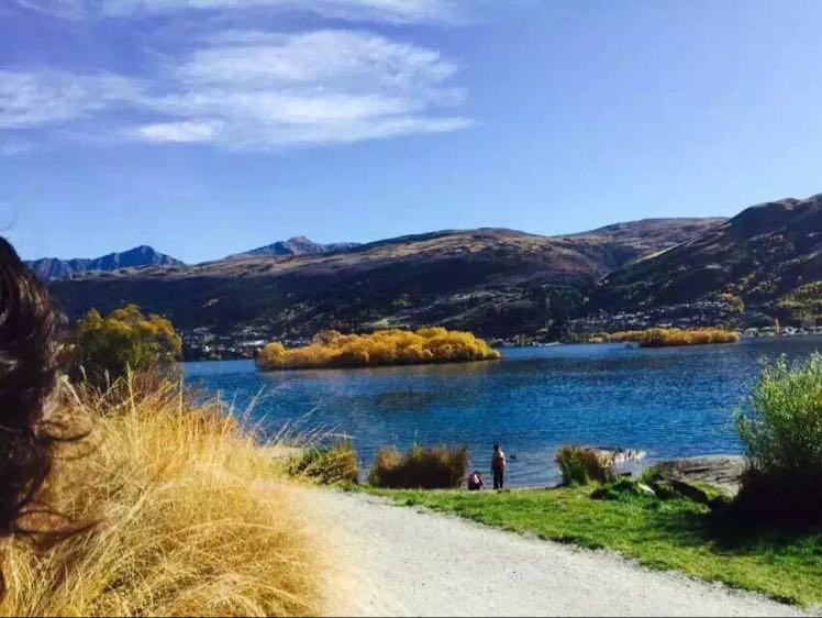 風輕云淡的頭像