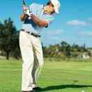 簡簡單單才是福。的頭像