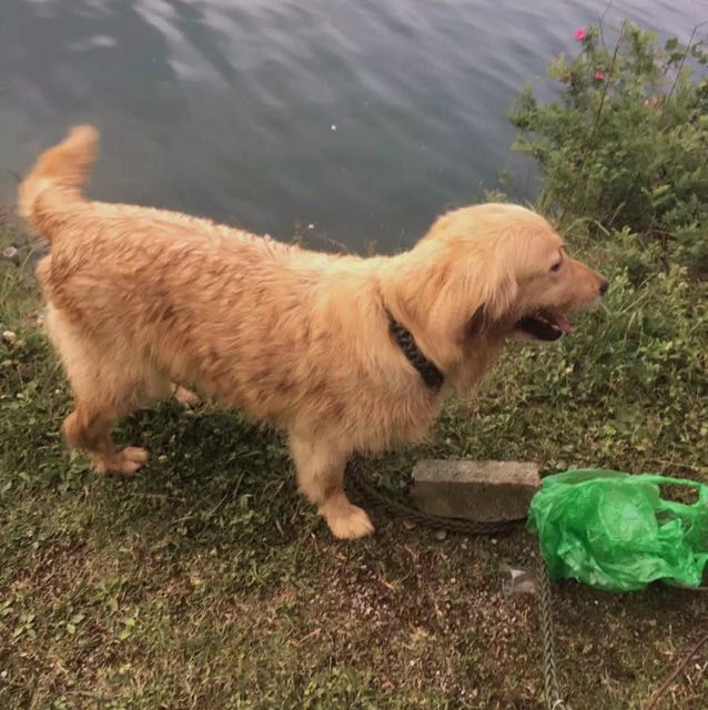 ＇z"quot;ting的頭像