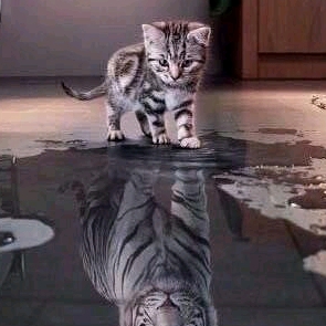 向往天空的頭像