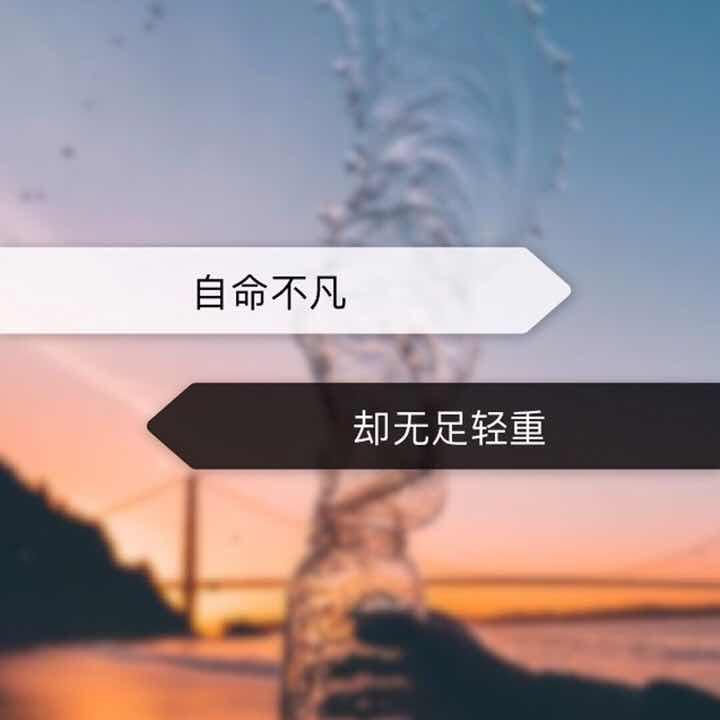 的頭像