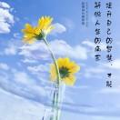 多么痛的領悟的頭像