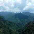 世茂維保方（星光大道）的頭像