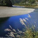 汲取，只因不再恐懼的頭像