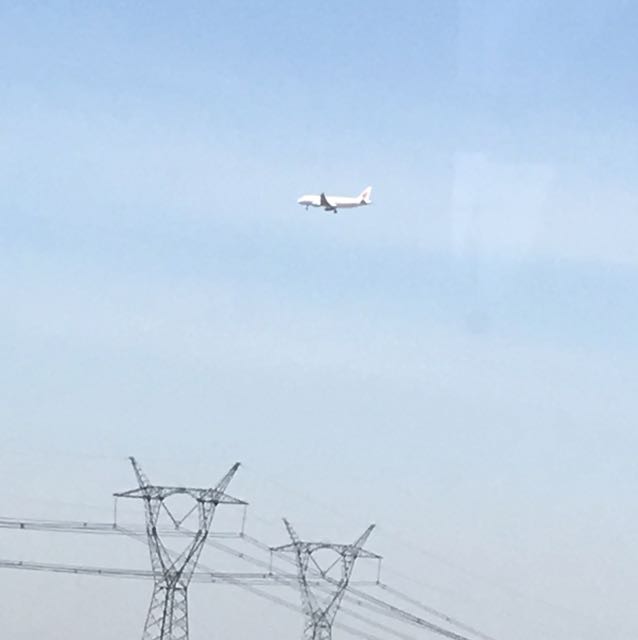 painting、的頭像