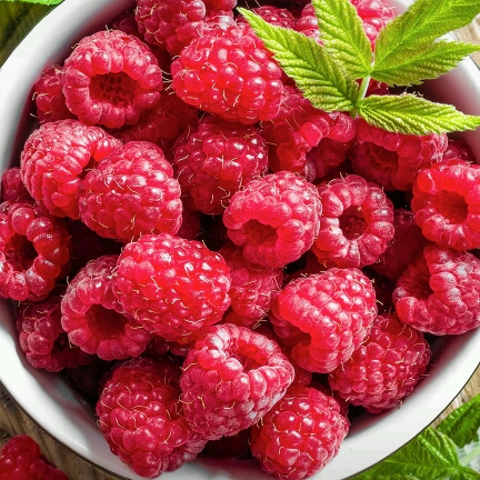 婚亡我亡的頭像