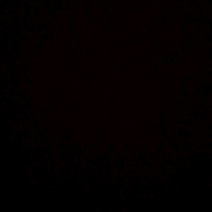 可愛的丁香花的頭像