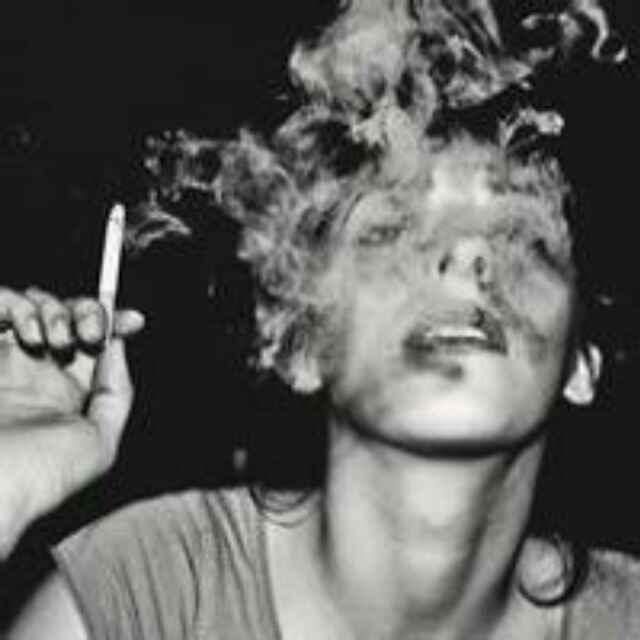 總有刁民想害朕的頭像