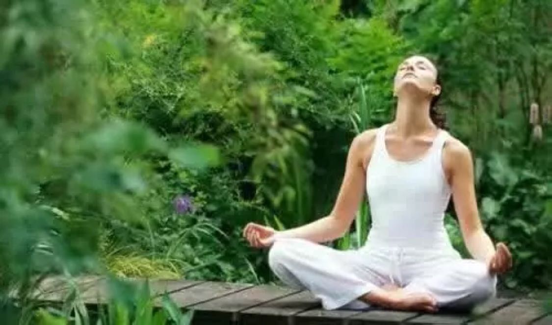 依然努力的今天的頭像