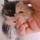 活出自己的頭像