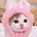 仙女味的cake(?	?)的頭像