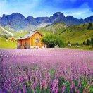 大國門窗王霞13177171198的頭像