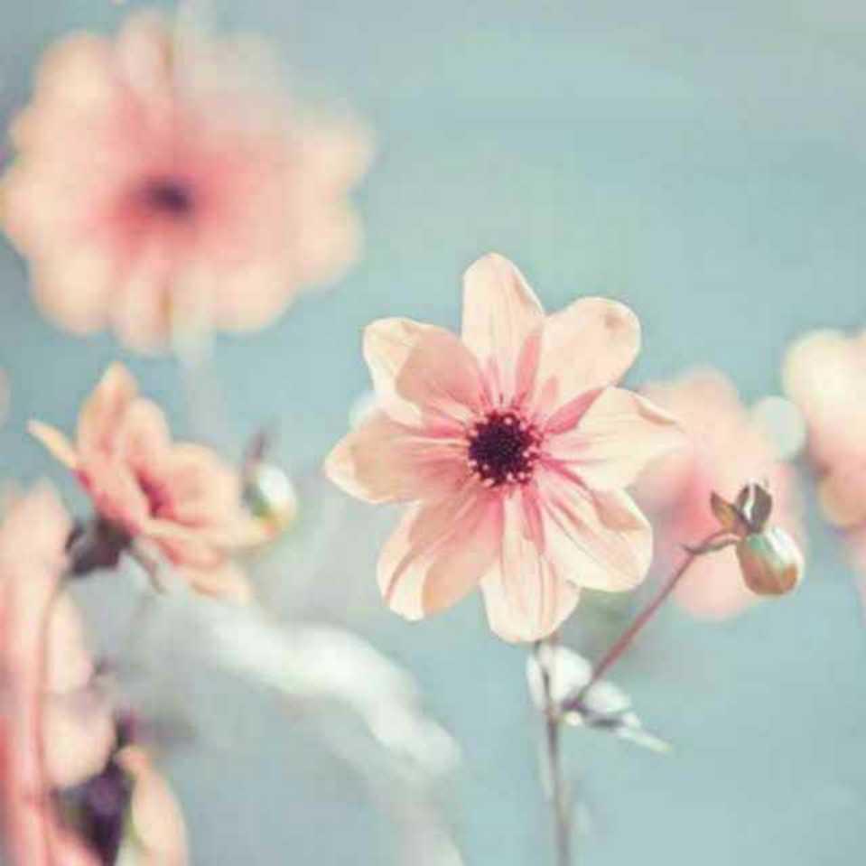 ?婷?的頭像