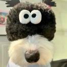 西北大土豆的頭像