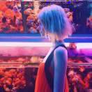 小丑是要大結局的頭像