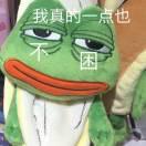 巳月十九的頭像