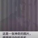 一世周泉的頭像