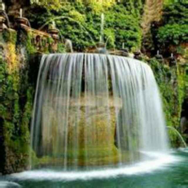 冰冷火焰的頭像