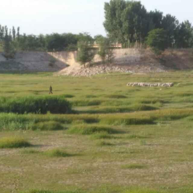 我想樂樂的頭像