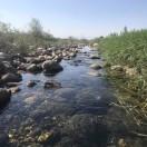 望星空的小人物的頭像