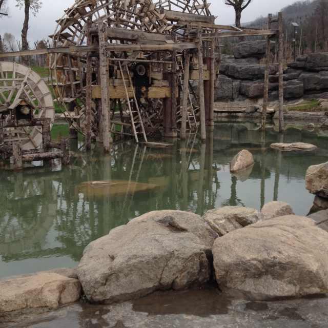 左手＆尾戒的頭像