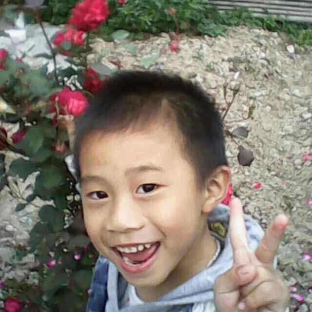 淡淡@感覺的頭像