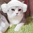 飯團媽咪的頭像