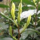 明天@會更好！的頭像