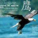 姍姍來遲的頭像