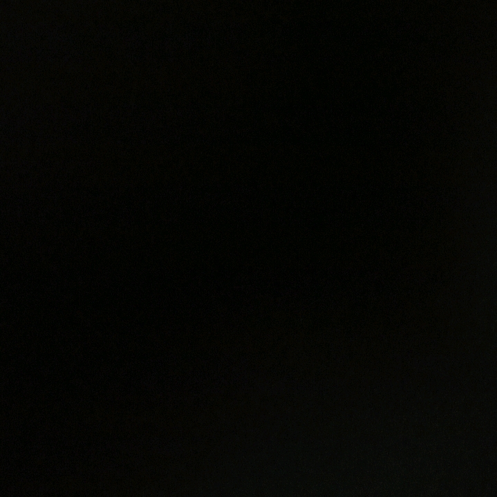 冷情的動物的頭像