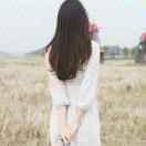 放飛夢(mèng)想的頭像