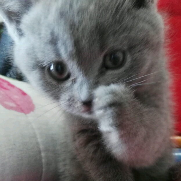 玩世不恭的頭像